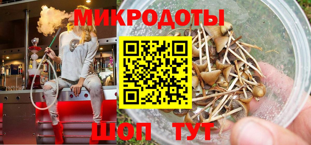 Светлоград  Галлюциногенные грибы ЛСД  Вход с VPN 